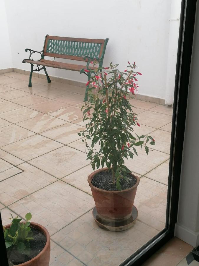 Villa Casa Da Freiria Évora Exterior foto